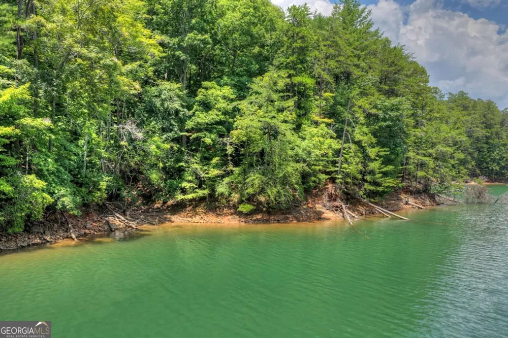 LT 60 Necowa Cove Overlook Blue Ridge, GA 30513