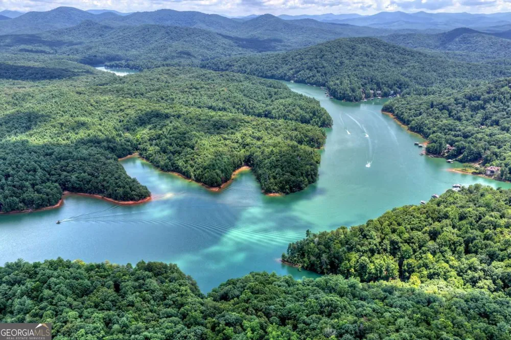 LT 60 Necowa Cove Overlook Blue Ridge, GA 30513