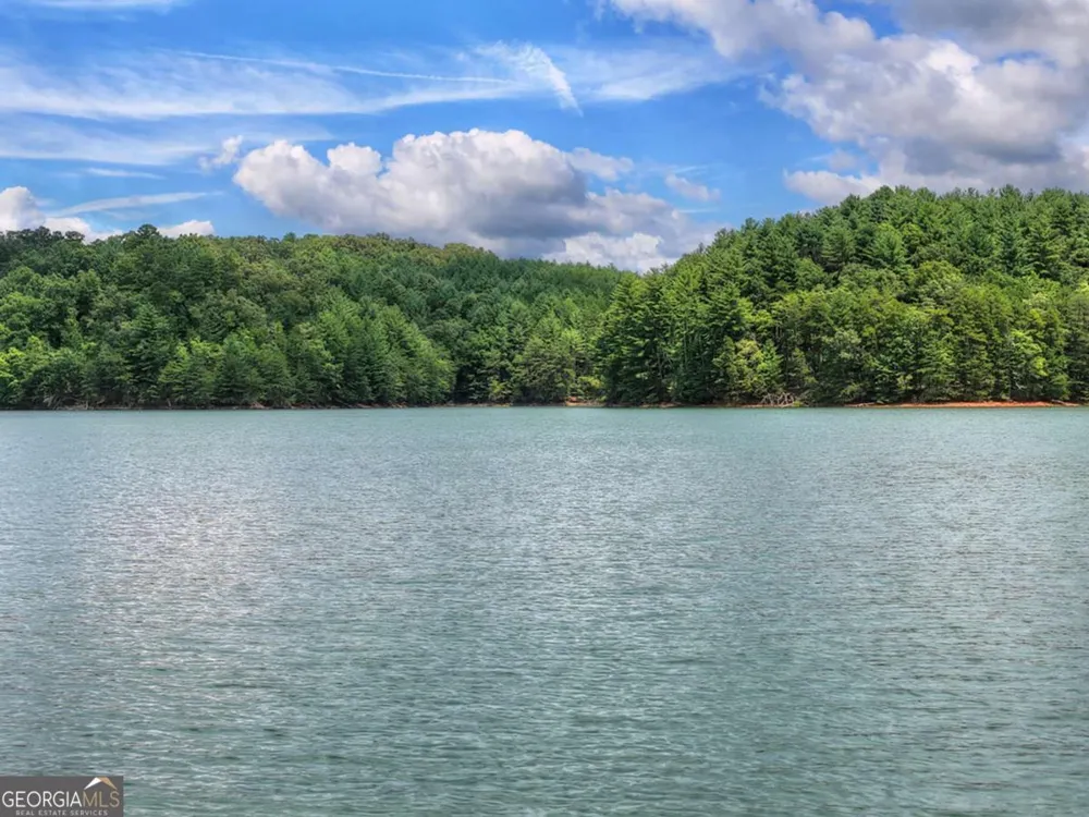 LT 60 Necowa Cove Overlook Blue Ridge, GA 30513