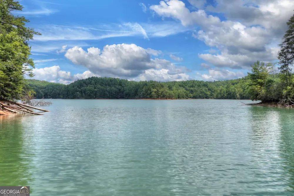 LT 60 Necowa Cove Overlook Blue Ridge, GA 30513
