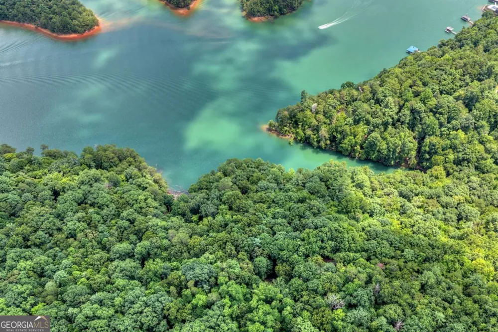 LT 60 Necowa Cove Overlook Blue Ridge, GA 30513