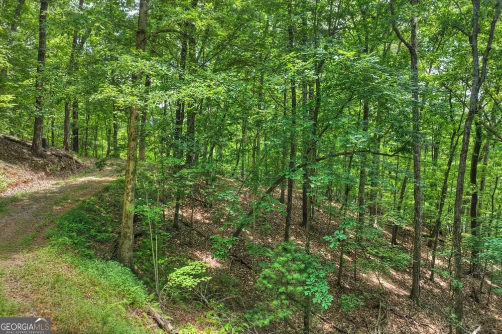 LT 60 Necowa Cove Overlook Blue Ridge, GA 30513