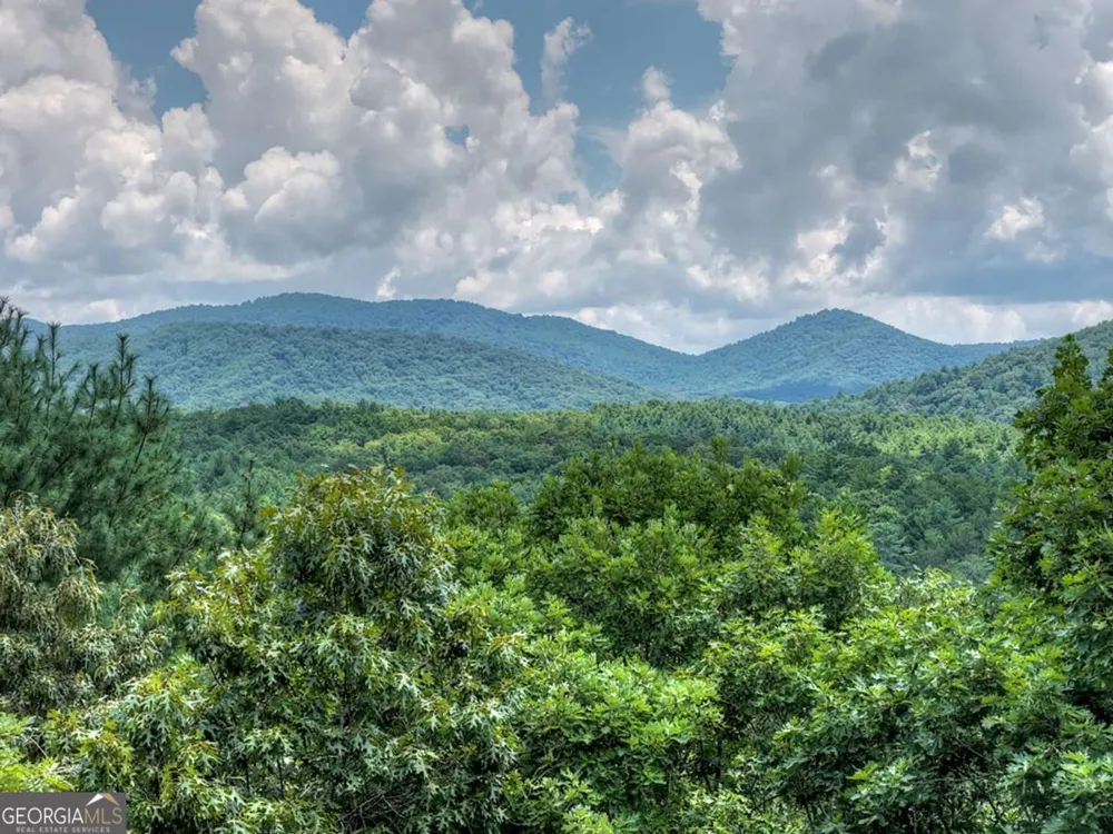LT 60 Necowa Cove Overlook Blue Ridge, GA 30513