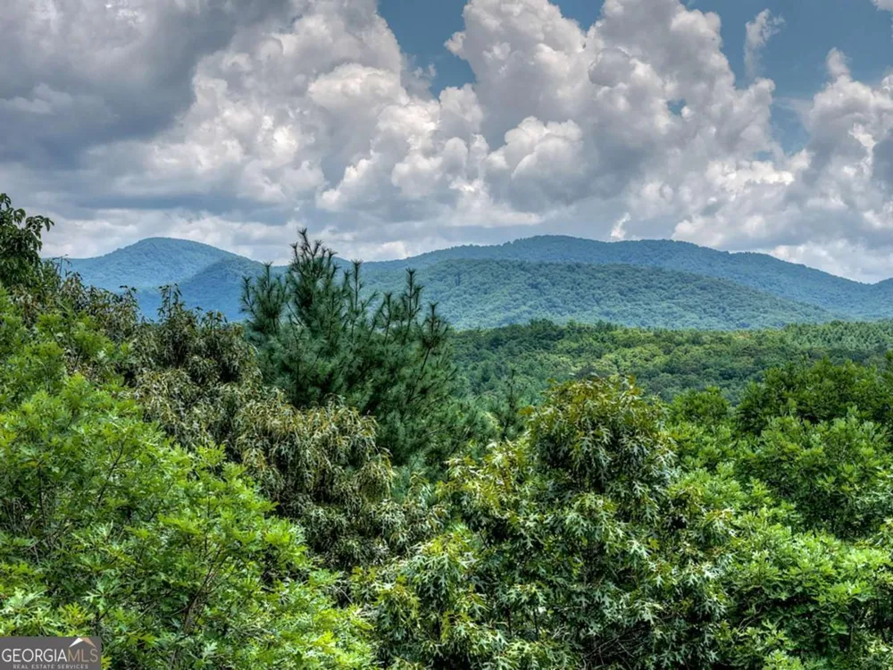 LT 60 Necowa Cove Overlook Blue Ridge, GA 30513
