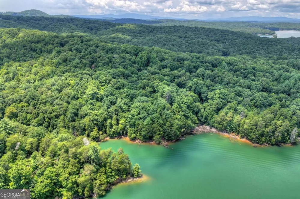 LT 60 Necowa Cove Overlook Blue Ridge, GA 30513
