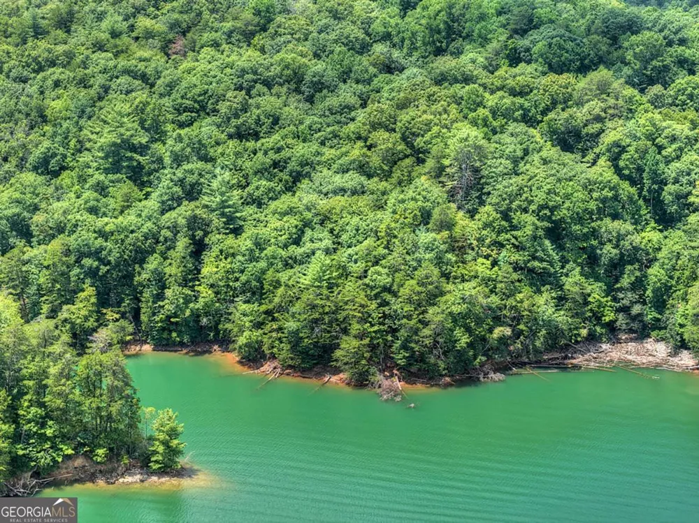 LT 60 Necowa Cove Overlook Blue Ridge, GA 30513