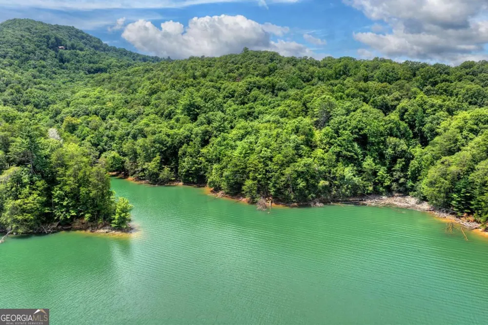 LT 60 Necowa Cove Overlook Blue Ridge, GA 30513
