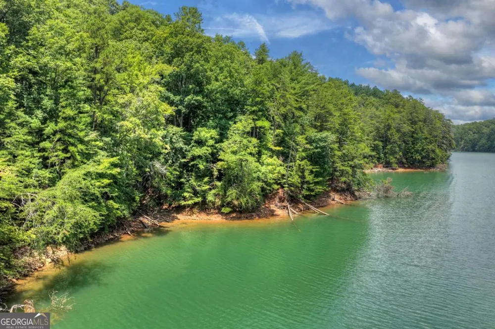 LT 60 Necowa Cove Overlook Blue Ridge, GA 30513