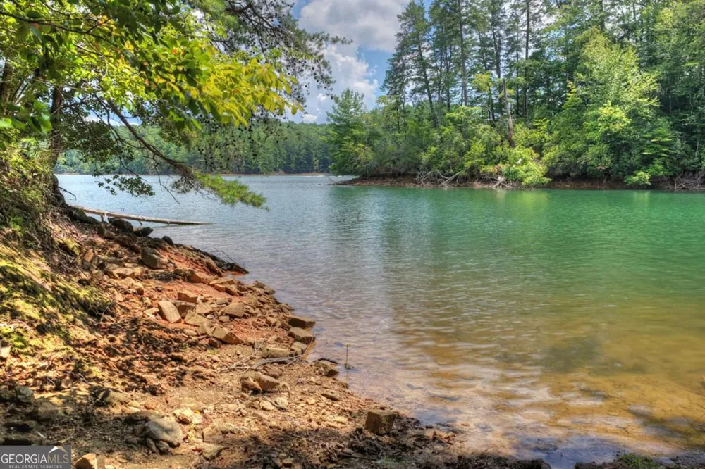 LT 60 Necowa Cove Overlook Blue Ridge, GA 30513