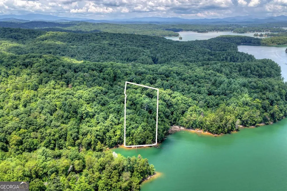 LT 60 Necowa Cove Overlook Blue Ridge, GA 30513