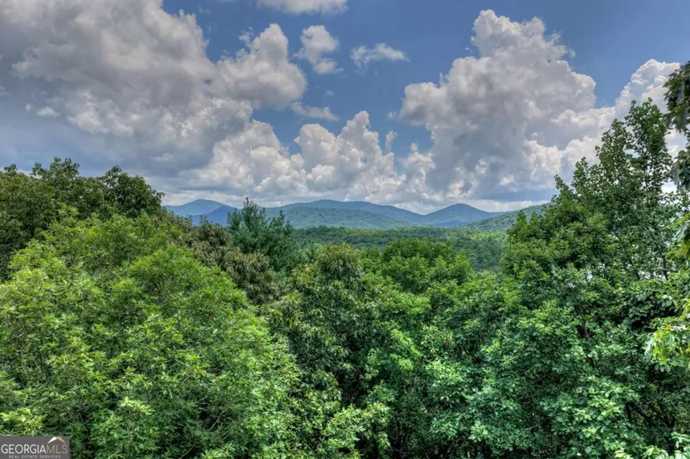 LT 60 Necowa Cove Overlook Blue Ridge, GA 30513