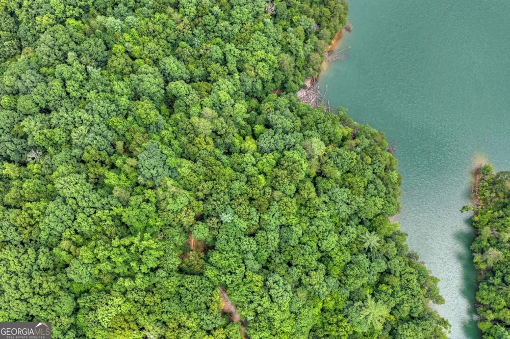 LT 60 Necowa Cove Overlook Blue Ridge, GA 30513