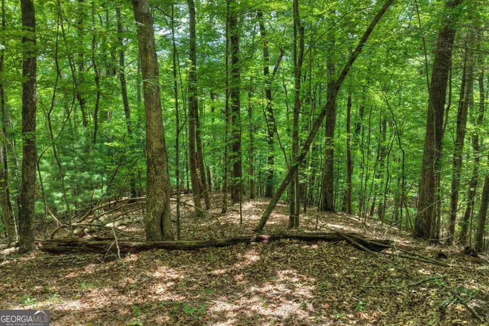 LT 60 Necowa Cove Overlook Blue Ridge, GA 30513