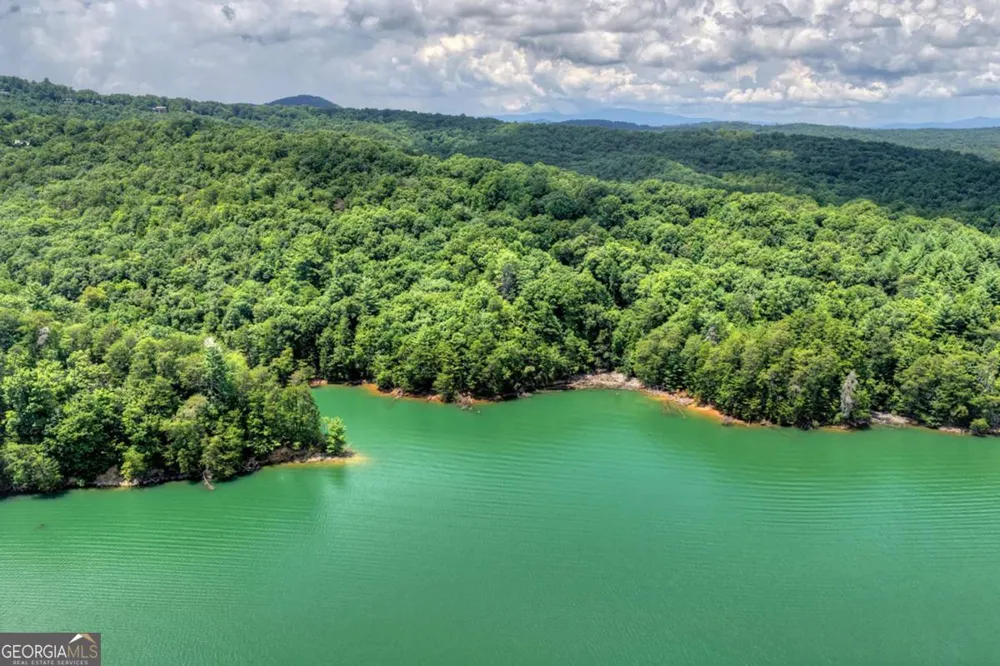 LT 60 Necowa Cove Overlook Blue Ridge, GA 30513
