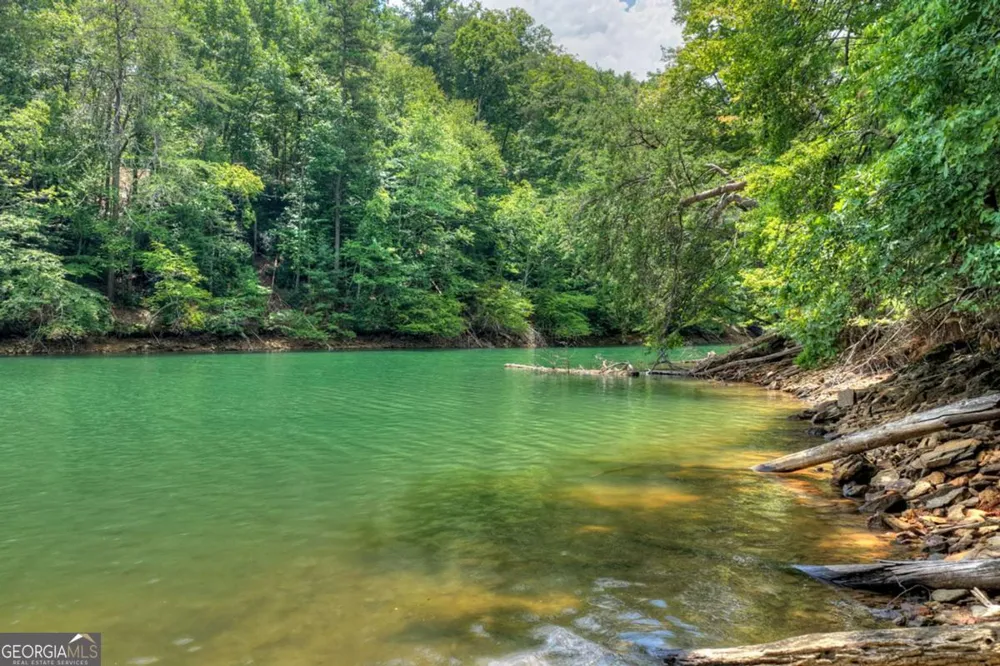 LT 60 Necowa Cove Overlook Blue Ridge, GA 30513