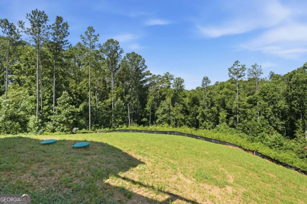 2956 Blalock Mountain RD Talking Rock, GA 30175