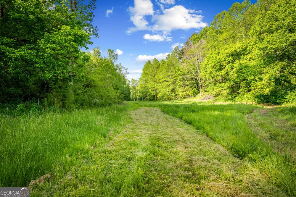 460 Wikle DR Ellijay, GA 30540