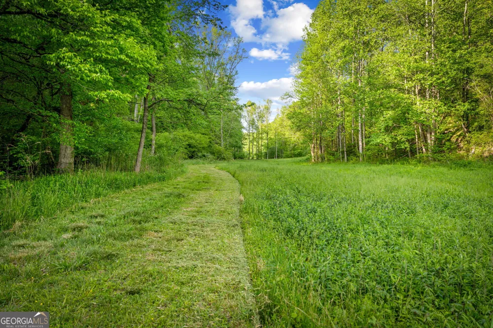 460 Wikle DR Ellijay, GA 30540