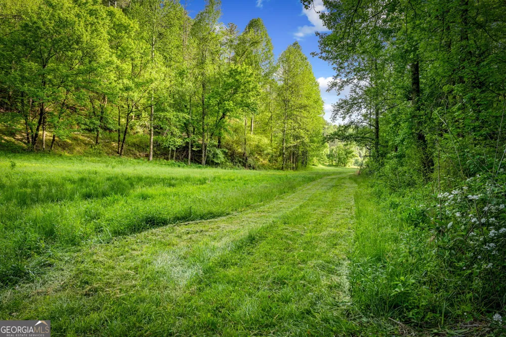 460 Wikle DR Ellijay, GA 30540