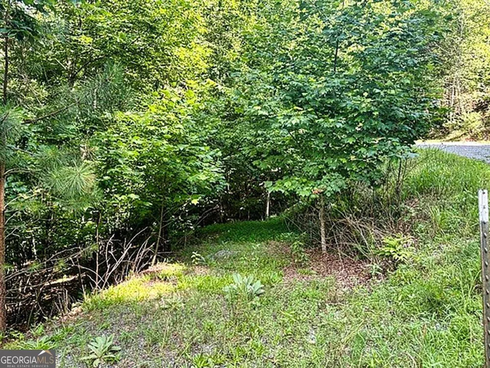 LOT 26 Toccoa Preserve Blue Ridge, GA 30513