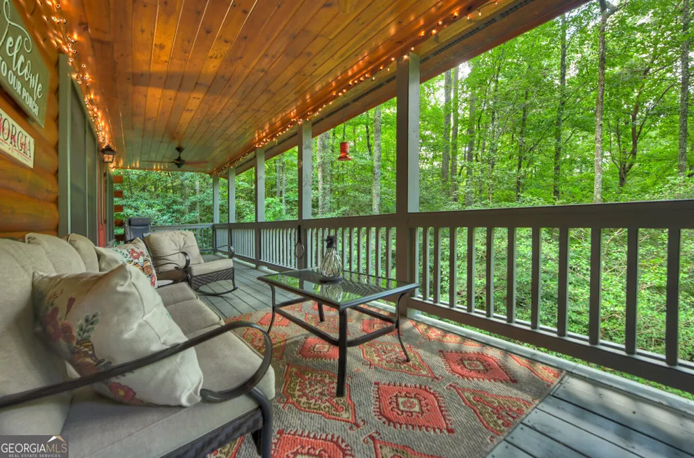234 Holly Hollow RD Cherry Log, GA 30522