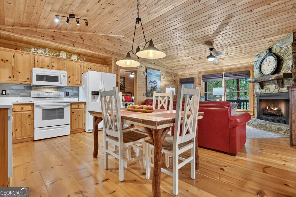 234 Holly Hollow RD Cherry Log, GA 30522