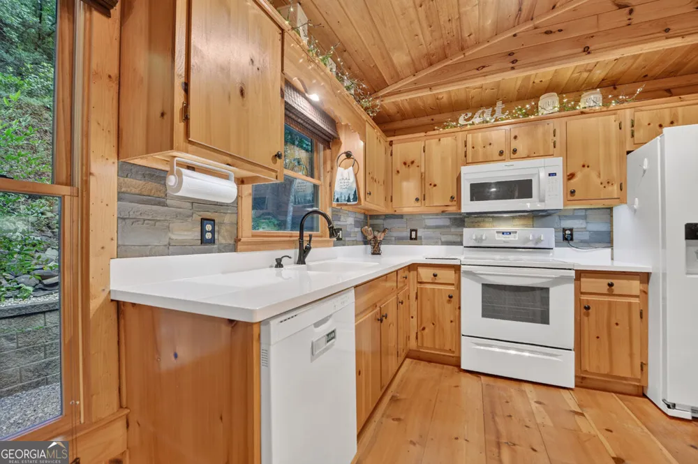 234 Holly Hollow RD Cherry Log, GA 30522
