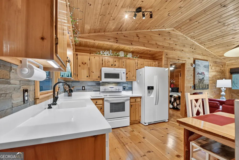 234 Holly Hollow RD Cherry Log, GA 30522