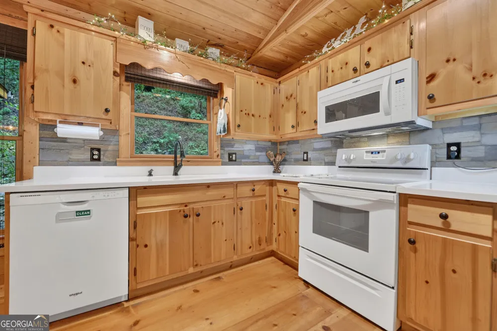 234 Holly Hollow RD Cherry Log, GA 30522