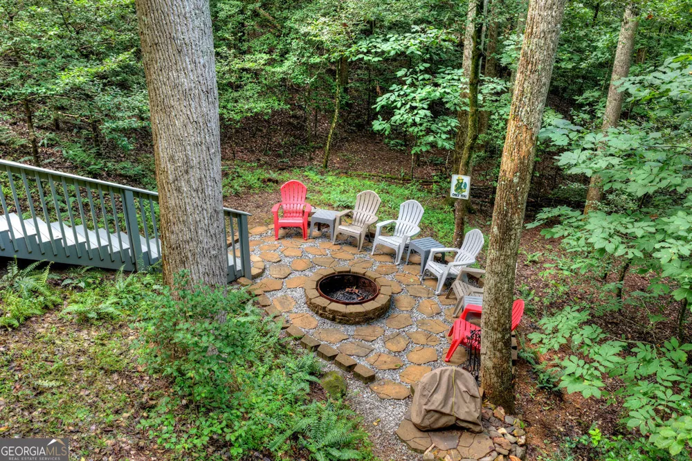 234 Holly Hollow RD Cherry Log, GA 30522