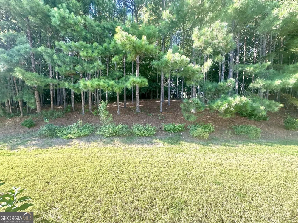 864 Crescent Ln Griffin, GA 30224