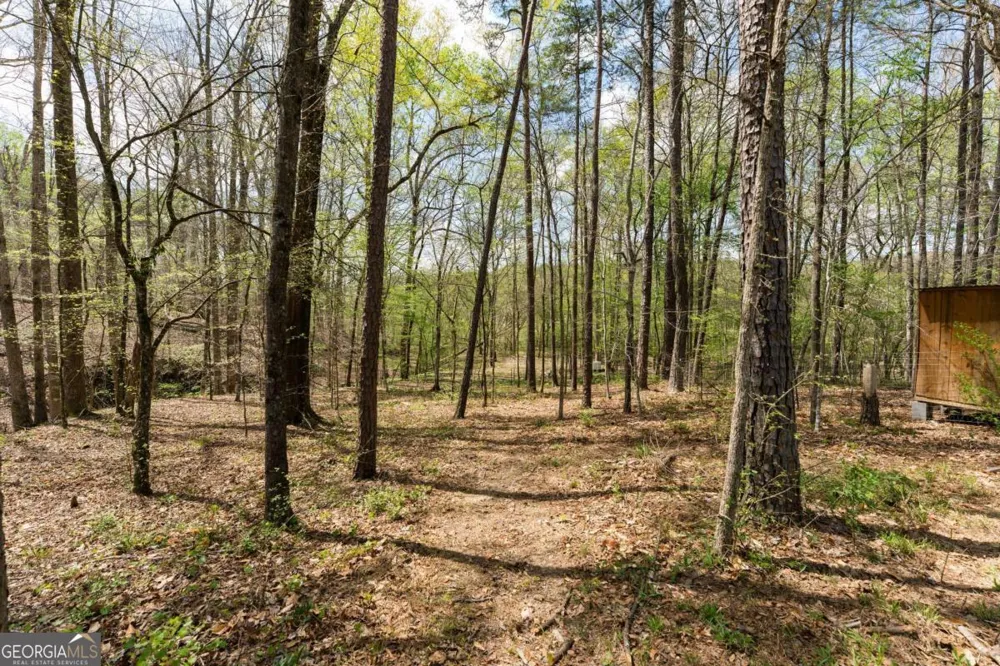 401 Blossom TRL Acworth, GA 30101