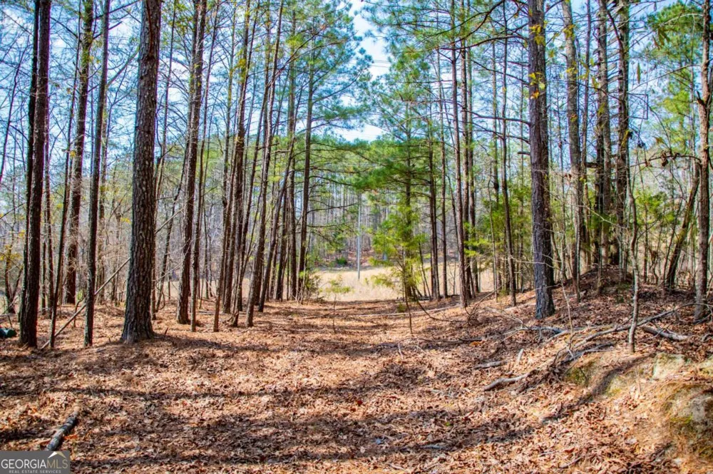 3940 Clinton CT Villa Rica, GA 30180