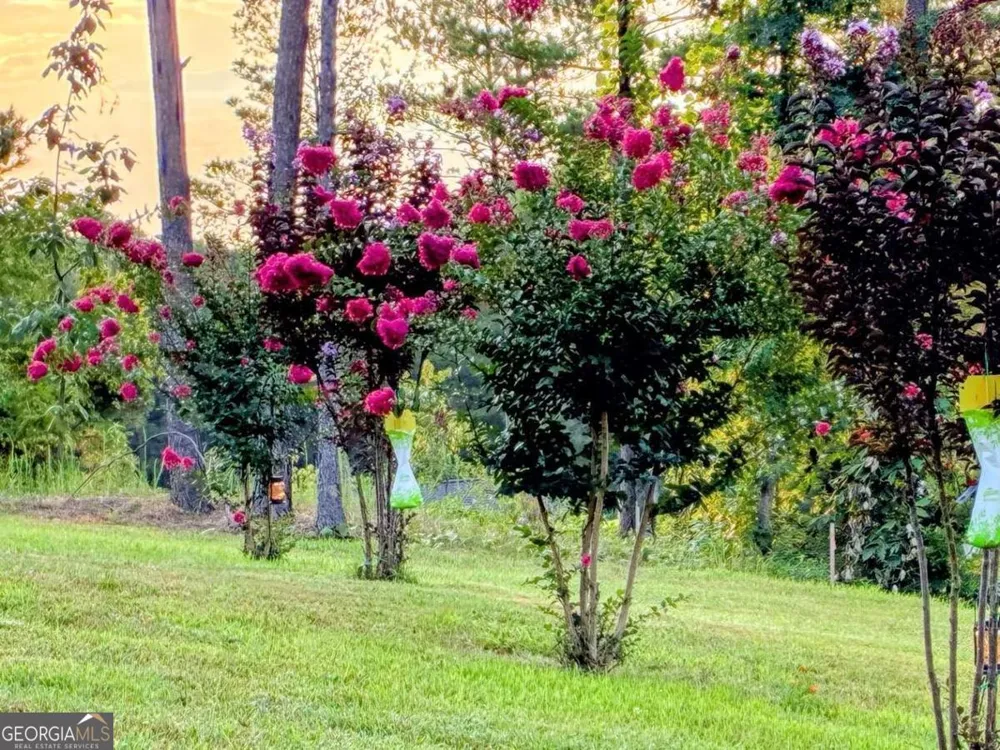 287 Bell LOOP Chatsworth, GA 30705