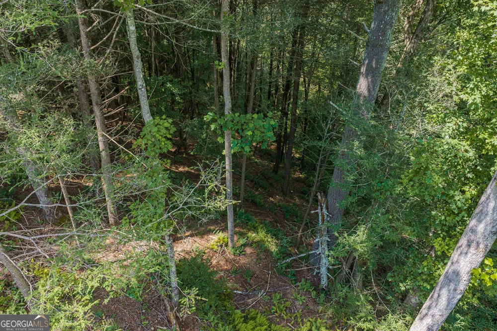 TRACT C Hicks Ford RD Ellijay, GA 30540
