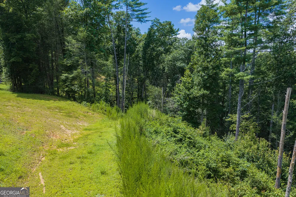 TRACT C Hicks Ford RD Ellijay, GA 30540