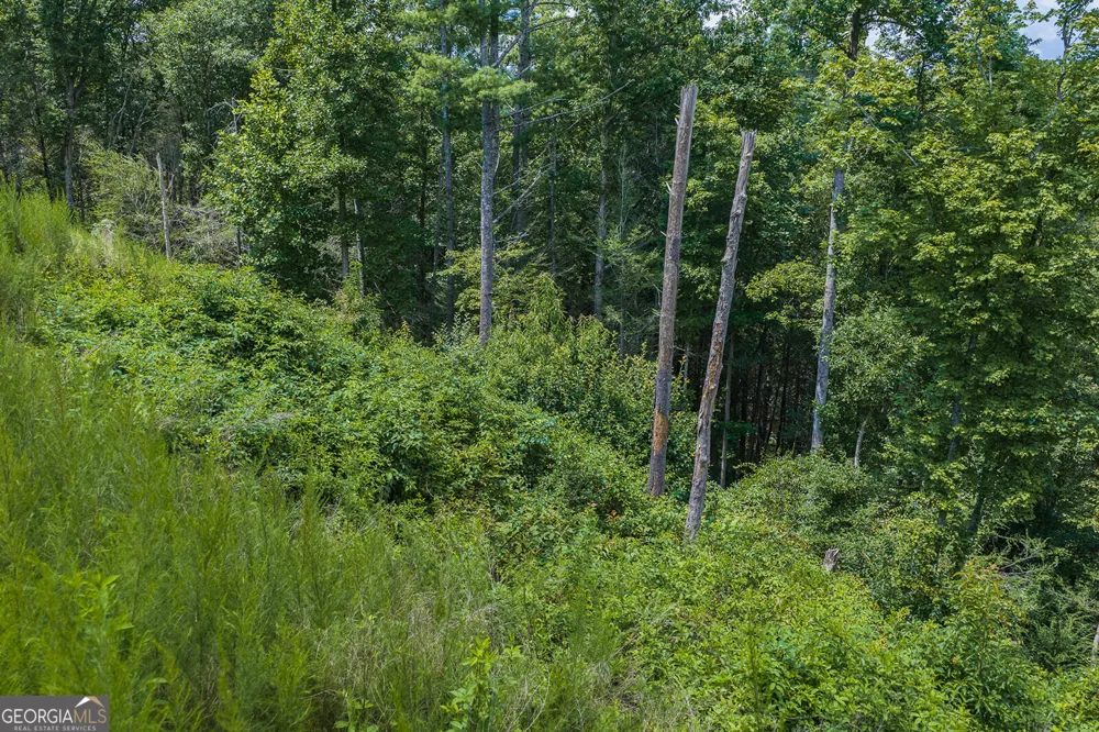 TRACT C Hicks Ford RD Ellijay, GA 30540