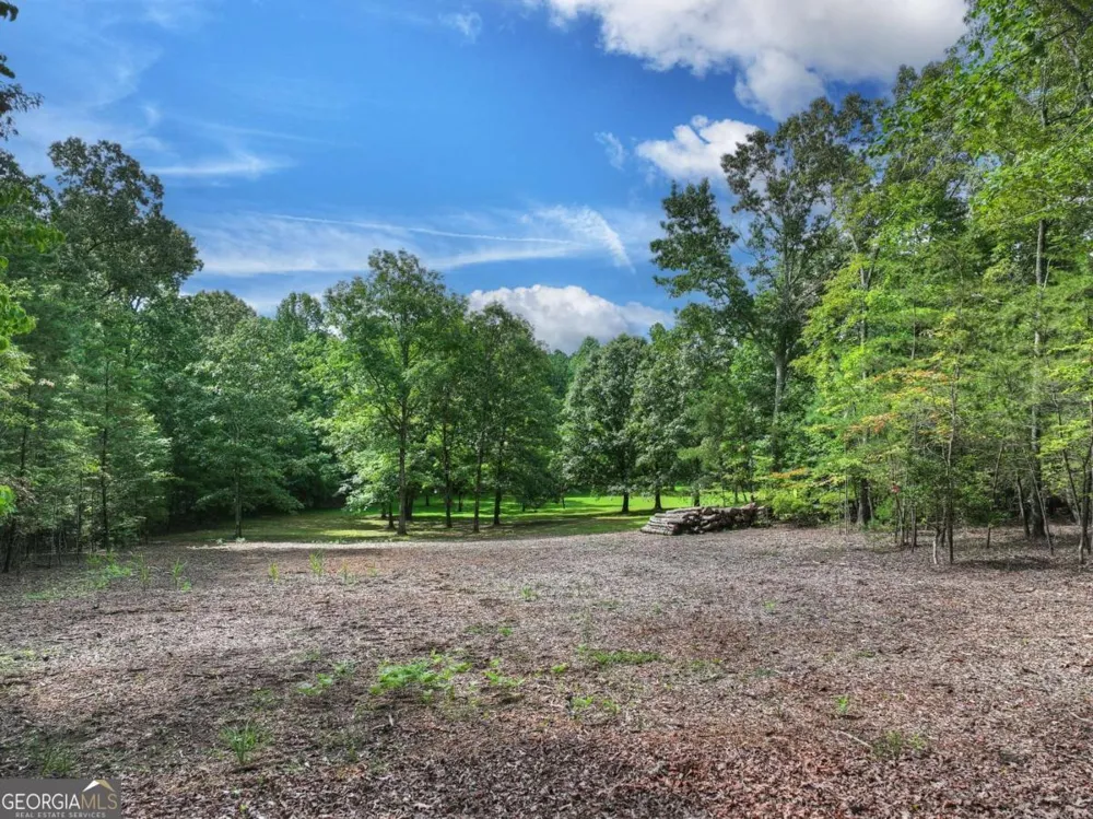 214 Ethan Wilson WAY Morganton, GA 30560