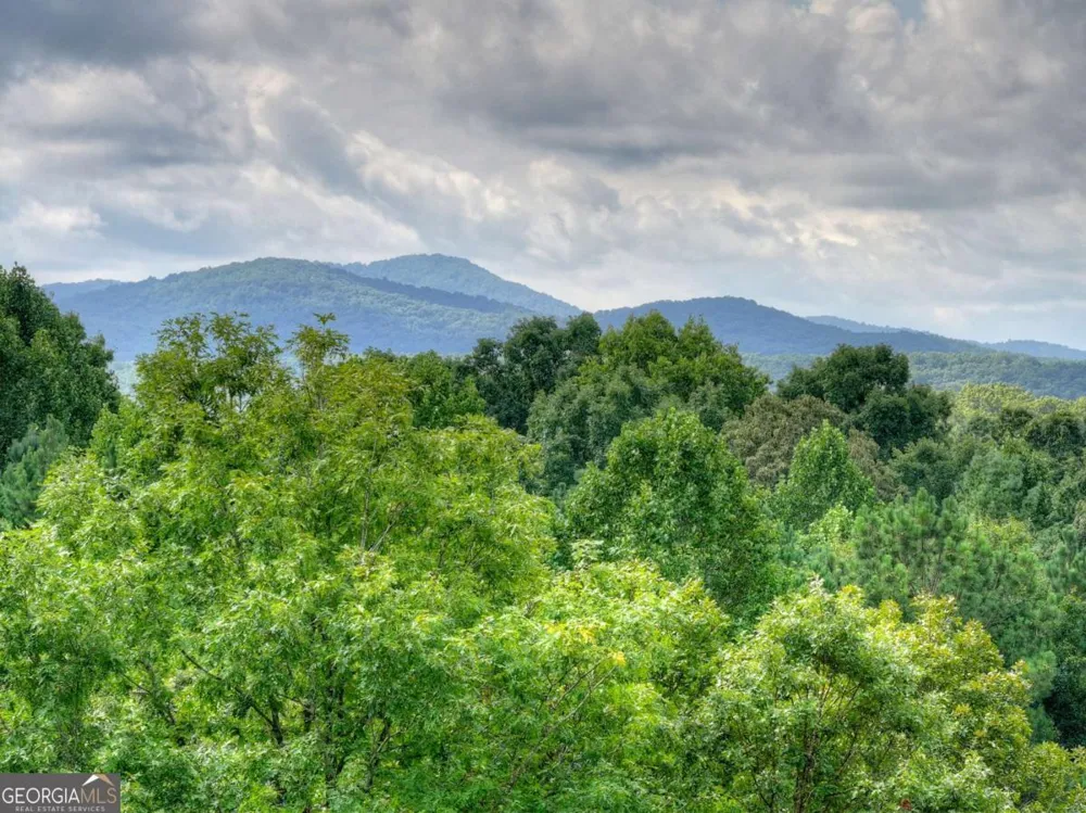 214 Ethan Wilson WAY Morganton, GA 30560