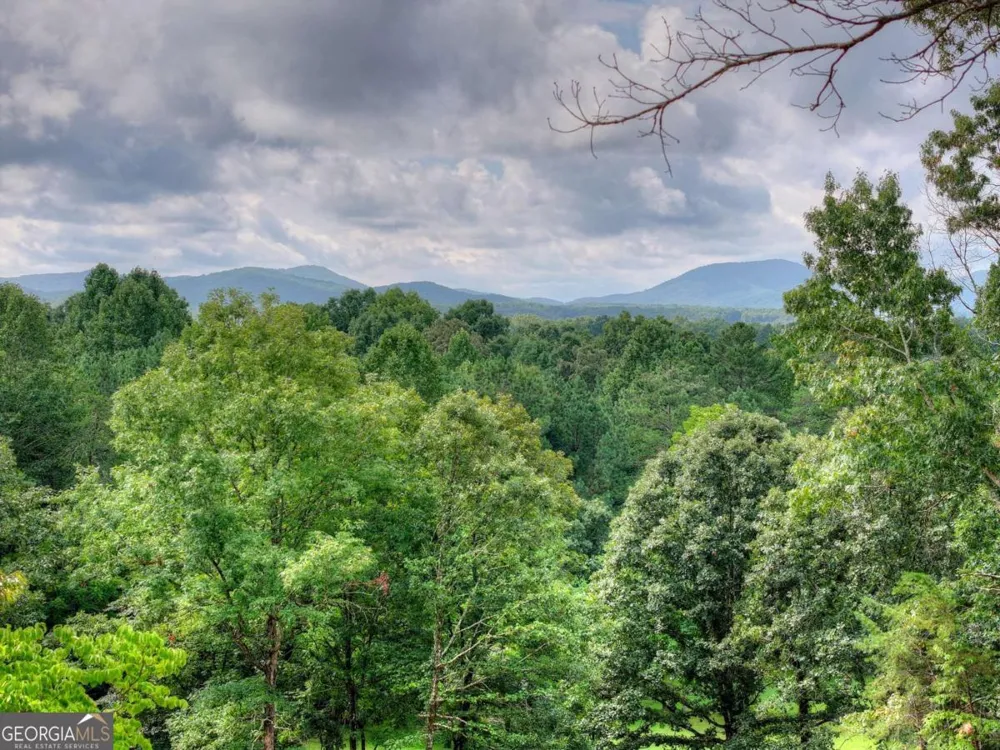 214 Ethan Wilson WAY Morganton, GA 30560