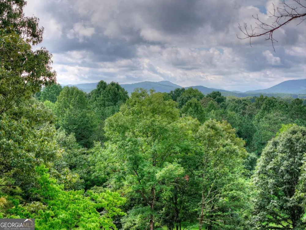 214 Ethan Wilson WAY Morganton, GA 30560