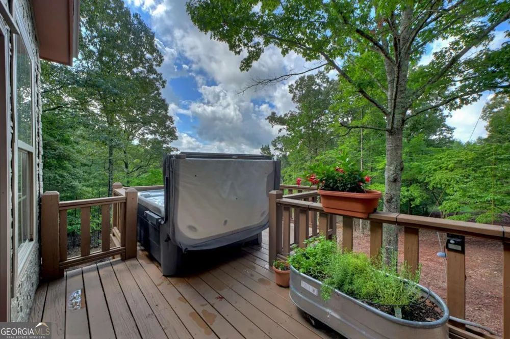 214 Ethan Wilson WAY Morganton, GA 30560
