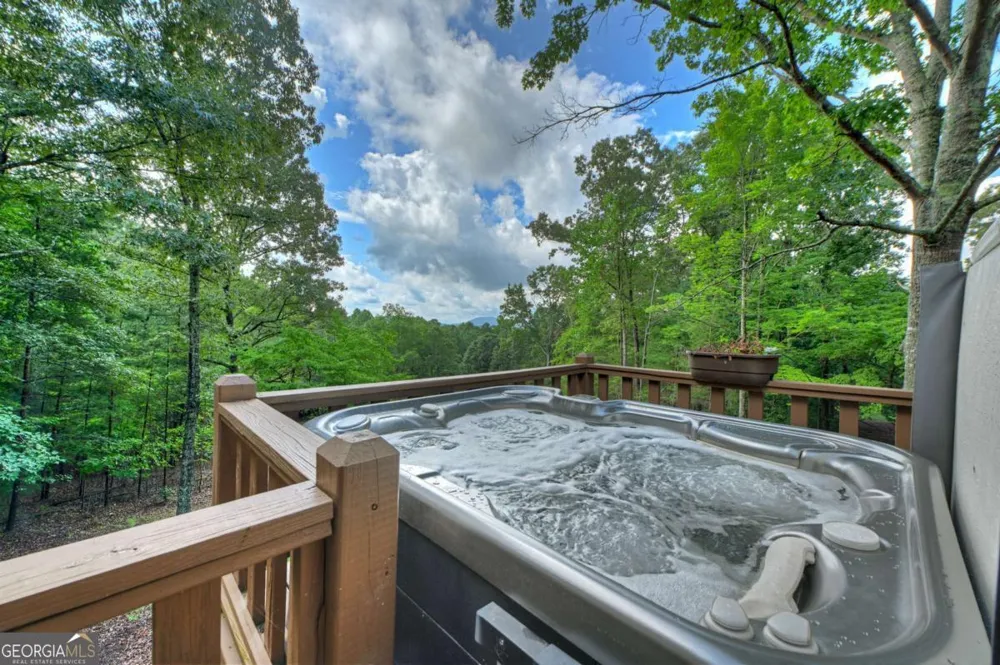 214 Ethan Wilson WAY Morganton, GA 30560