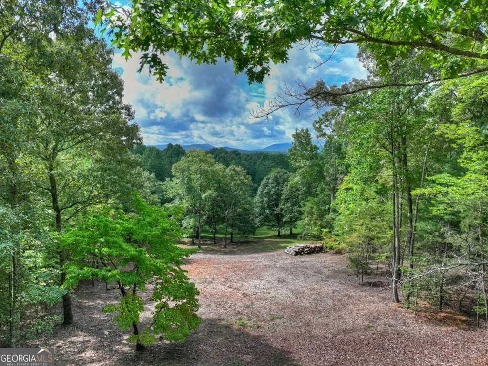 214 Ethan Wilson WAY Morganton, GA 30560