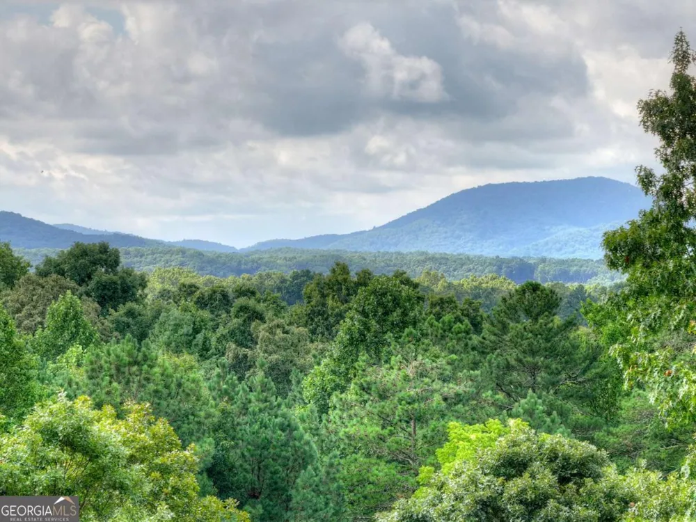 214 Ethan Wilson WAY Morganton, GA 30560