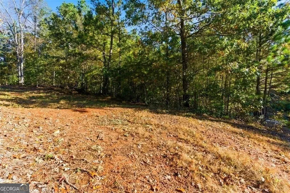 7794 Gusty TRL Douglasville, GA 30135