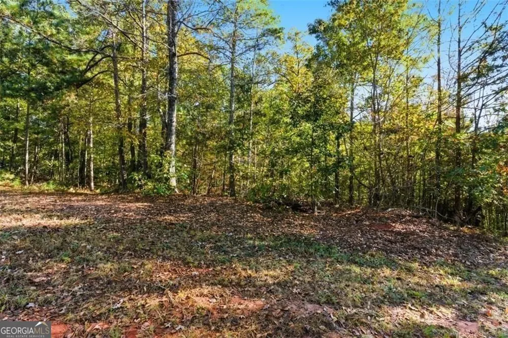 7794 Gusty TRL Douglasville, GA 30135