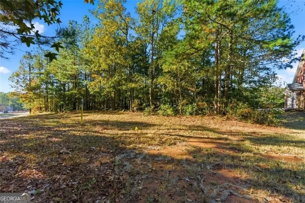 7794 Gusty TRL Douglasville, GA 30135