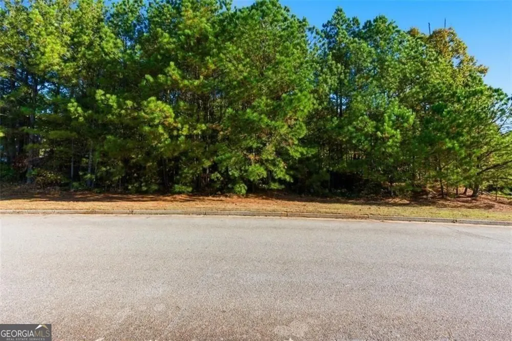 7794 Gusty TRL Douglasville, GA 30135
