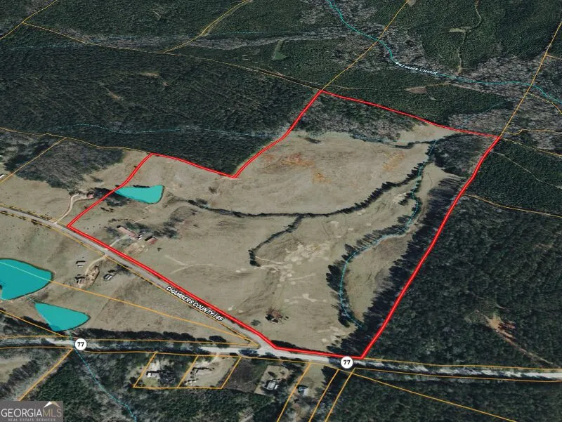 1126 County Road 145 Roanoke, AL 36274
